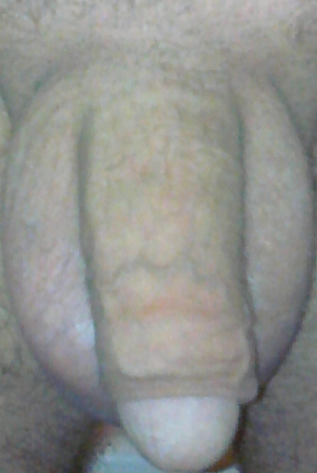 Megattera59 da Mantova,Italia