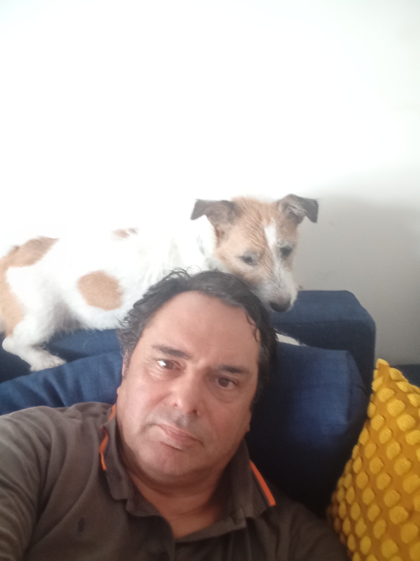 Ottavik da Roma,Italia