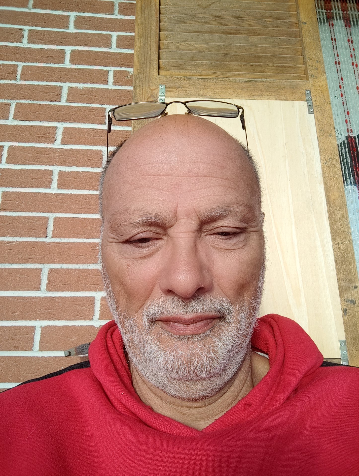 dandy da Ancona,Italia