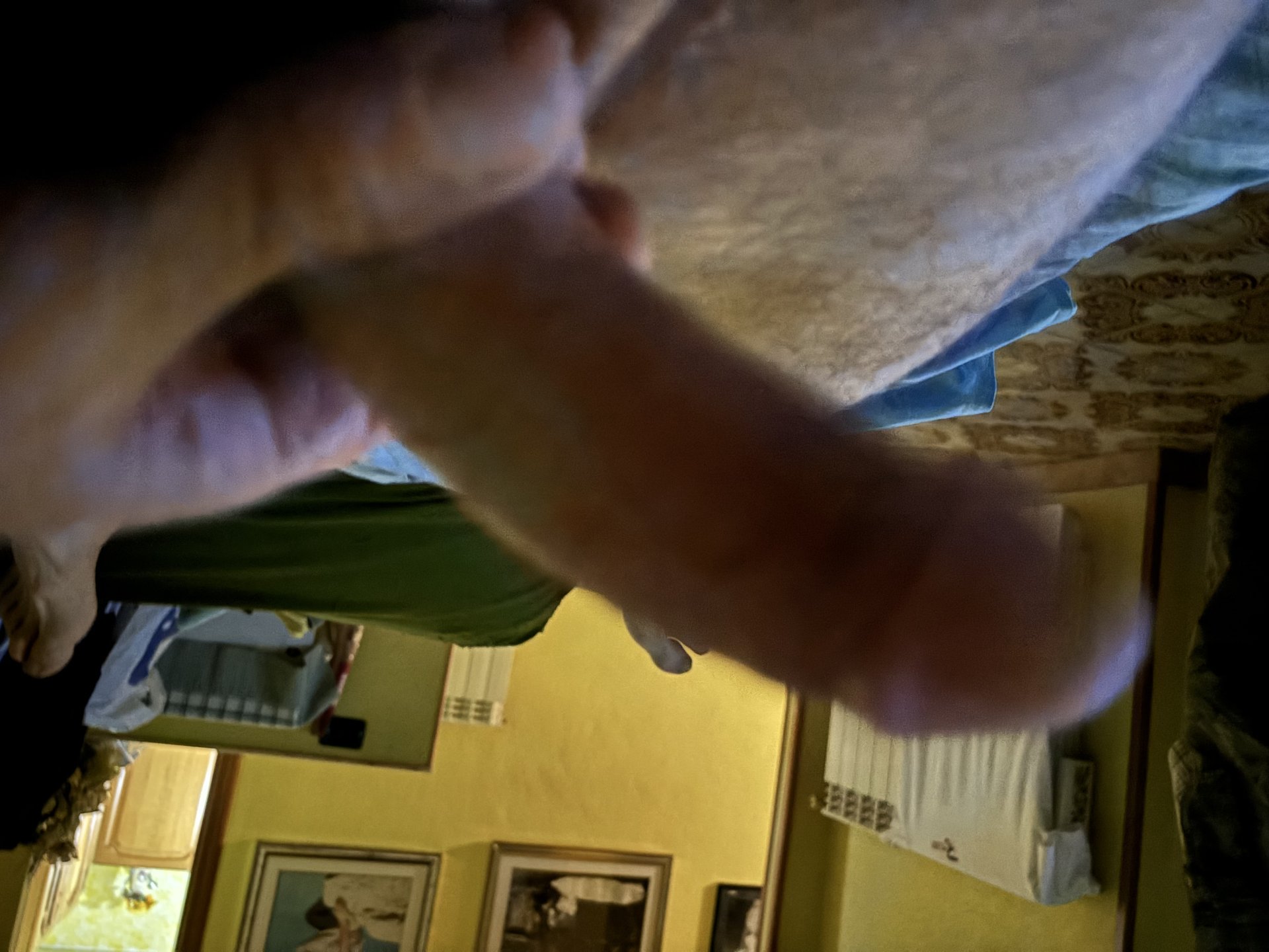 macchioni66dom89 da Roma,Italia